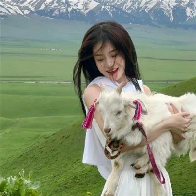 使用下方 20 个影片名，按顺序一一对应，不要改动片名文字，只根据片名和括号内类型提示来虚构全新的故事内容： 爱你到死 归队 扬子江风云 玻璃屋 苗苗 棺材2 坐拥怜悯 双傻出海 小轿车 于成龙 后备箱惊魂 无悔今生 动物农庄 高利贷少年 奇妙萌可大电影 鬼．驱灵 鲸鱼杂货铺 天台上 幽灵人种 犬夜叉